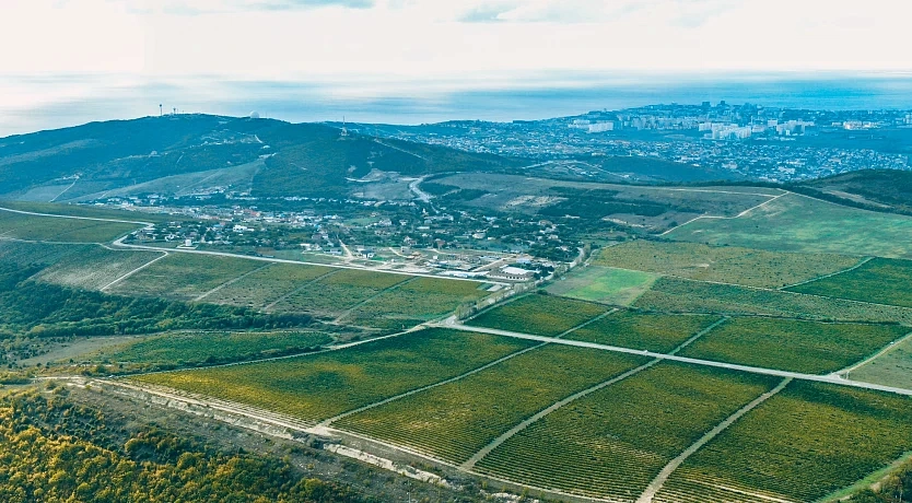 Земли сельскохозяйственного назначения