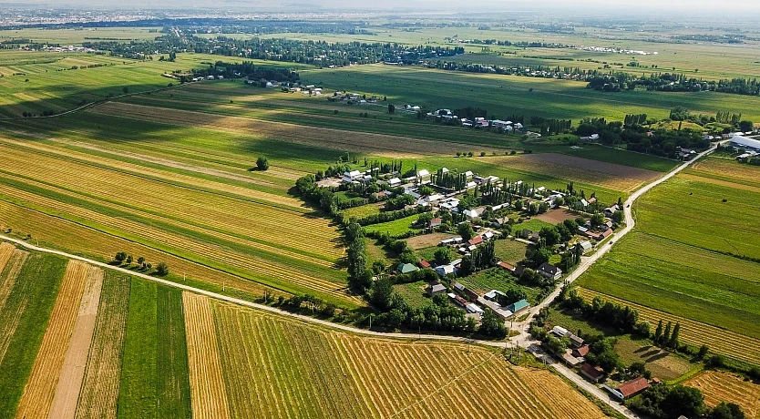 Agricultural use land 